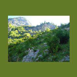 2012-08-09_01Fischunkel-Alm_Wasseralm (174).JPG